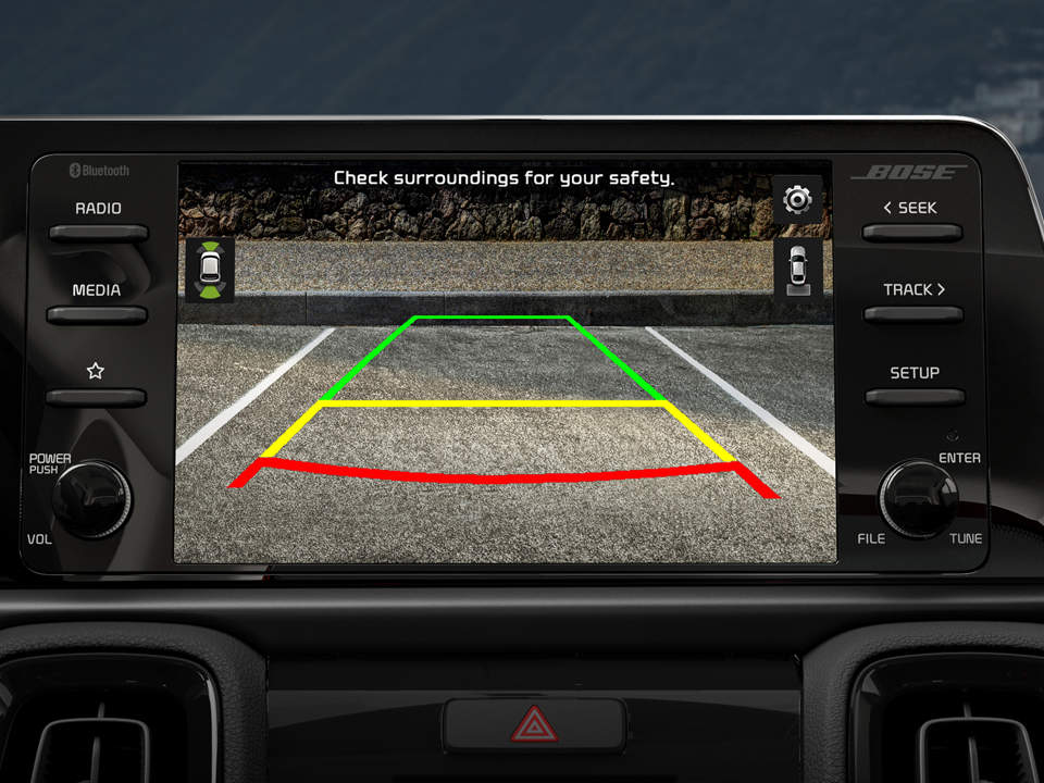Rear View Monitor (RVM)